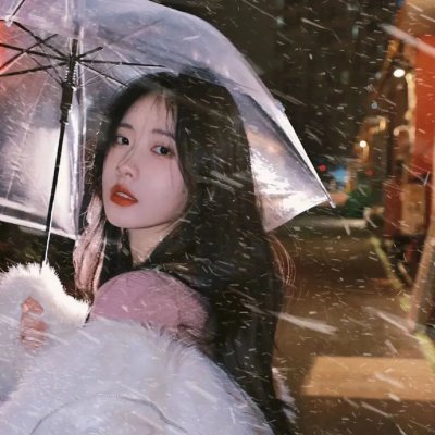 摄影师贝尔蒂与海豚零距离 在线观看